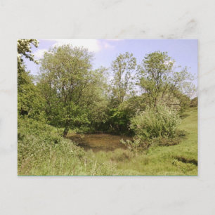 Cartão Postal Cartão-postal de foto oculto