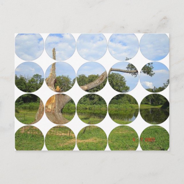 Cartão Postal Cartão-postal de fotografia circular (Frente)