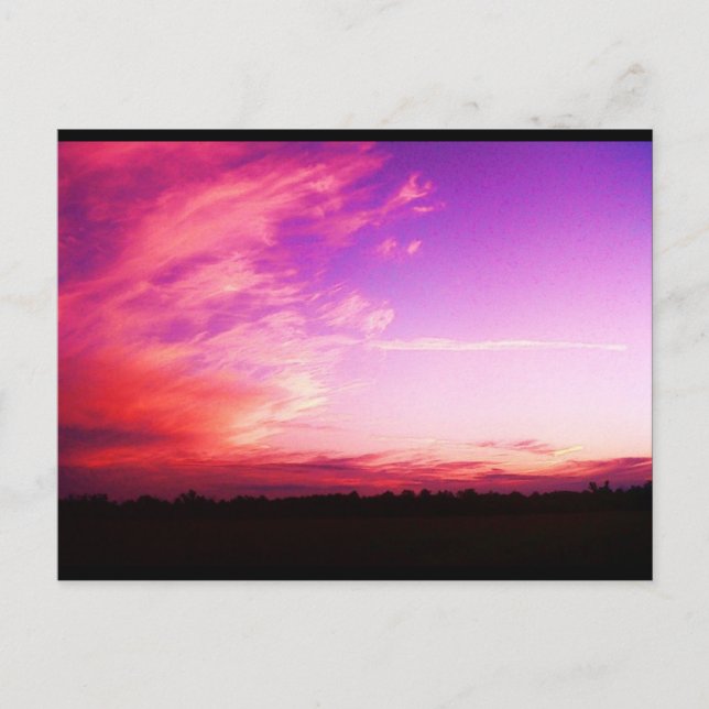 Cartão Postal Cartão-postal de fotografia Slushpuppys (Frente)