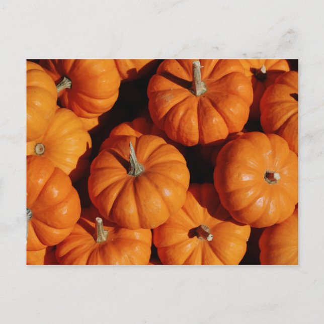 Cartão Postal Cartão-postal de fruta e Comida 17 (Frente)