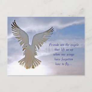 Cartão Postal Cartão-postal de gaivota