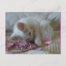 Cartão Postal Cartão-postal de Gatinho para Menina nº 2
