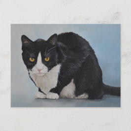 Cartão Postal Cartão-postal de gato branco branco-preto Tuxedo