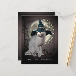 Cartão Postal Cartão-postal de gato branco magro