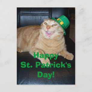 Cartão Postal Cartão-postal de Gato de Leprechaun do Dia de São 