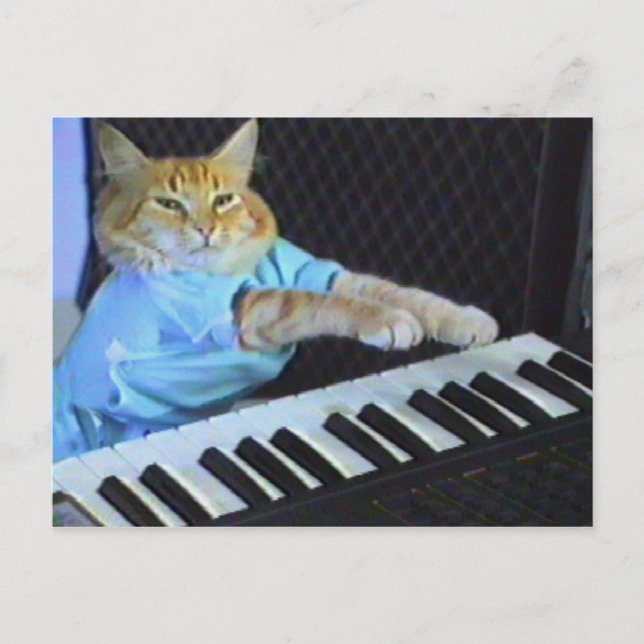 Cartão Postal Cartão-postal de gato de teclado! (Frente)