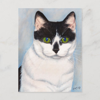 Cartão Postal Cartão-postal de gato preto e branco