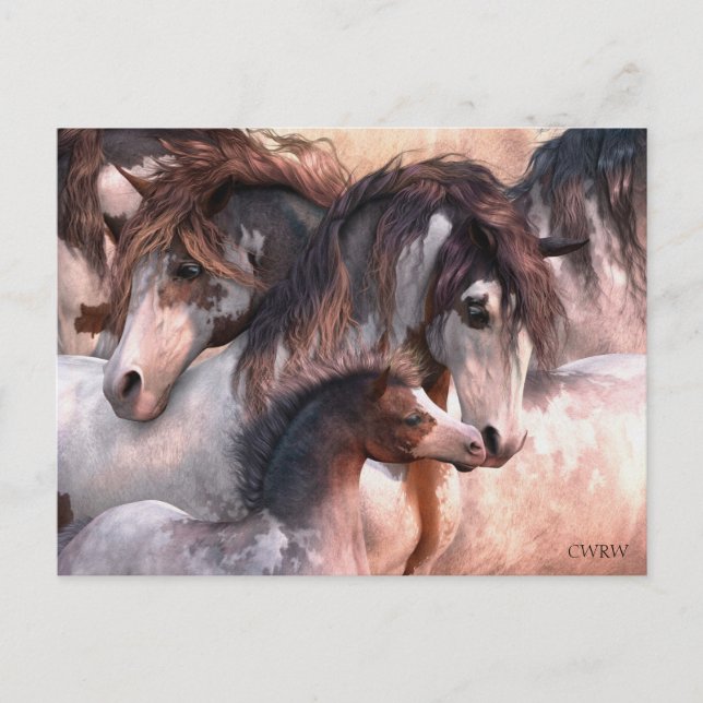 Cartão Postal Cartão-postal de Gerações (Frente)