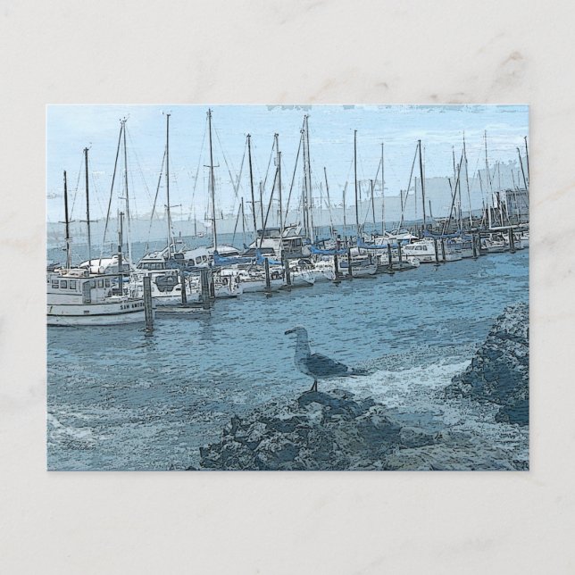 Cartão Postal Cartão-postal de guarda de gaivota (Frente)