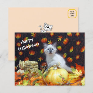 Cartão Postal Cartão-postal de Halloween de Savannah - Pic Gato