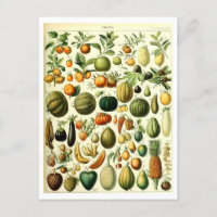 Cartão-postal de ilustração botânica da Fruta de v