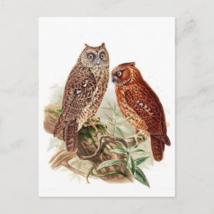 Cartão Postal Cartão-postal de ilustração clássico