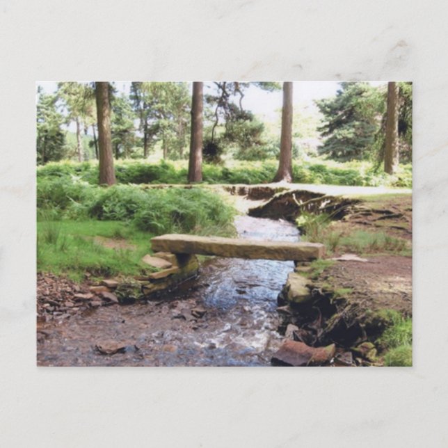 Cartão Postal Cartão-postal de ilustração clássico (Frente)