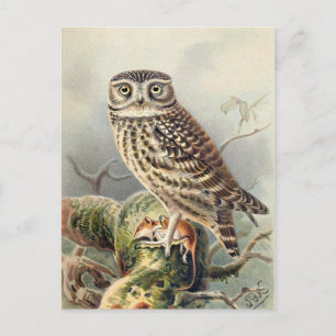 Cartão Postal Cartão-postal de ilustração clássico