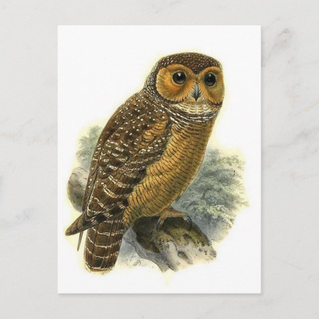 Cartão Postal Cartão-postal de Ilustração Clássico (Frente)