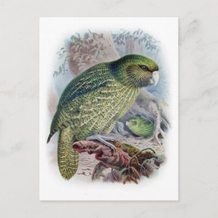 Cartão Postal Cartão-postal de ilustração clássico