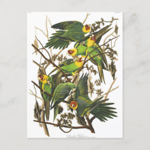 Cartão Postal Cartão-postal de ilustração clássico