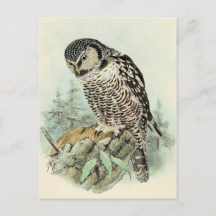 Cartão Postal Cartão-postal de ilustração clássico