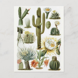 Cartão Postal Cartão-postal de ilustração clássico