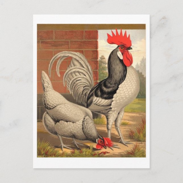 Cartão Postal Cartão-postal de Ilustração Clássico (Frente)