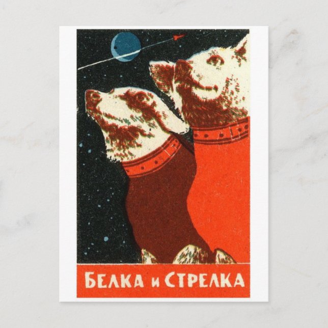 Cartão Postal Cartão-postal de Ilustração Clássico (Frente)