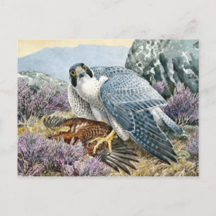 Cartão Postal Cartão-postal de ilustração clássico