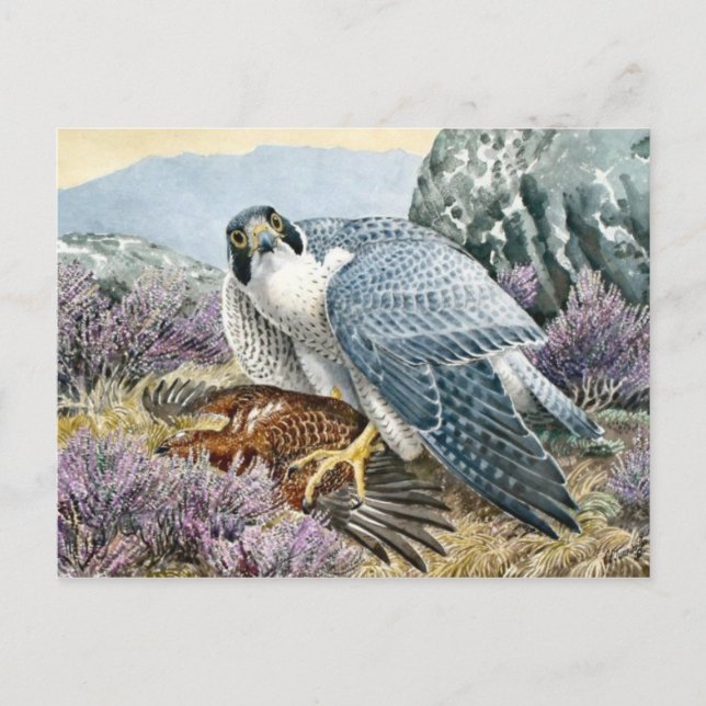 Cartão Postal Cartão-postal de ilustração clássico (Frente)