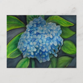 Cartão Postal Cartão-postal de impressão com aquarela Hydrangea