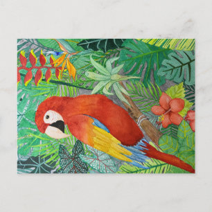 Cartão Postal Cartão-postal de Impressão de pássaro