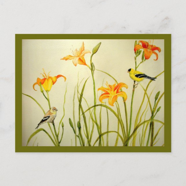 Cartão Postal Cartão-postal de Impressão Goldfinch e Daylillies (Frente)