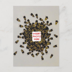 Cartão Postal Cartão-postal de INSERÇÃO FOTOGRAFAR da Bee Ocu