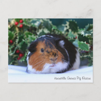 Cartão Postal Cartão-postal de inverno Belo