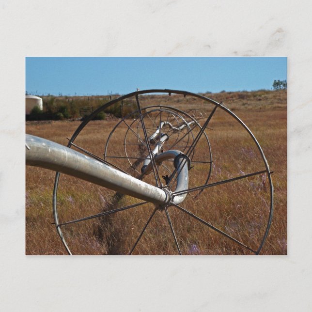 Cartão Postal Cartão-postal de irrigação (Frente)
