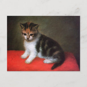 Cartão Postal Cartão-postal de Kitty Cat:  Kitten por George St