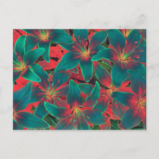 Cartão Postal Cartão-postal de lírios azuis