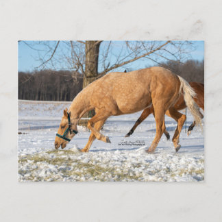 Cartão Postal Cartão-postal de Lugos a retirar-se