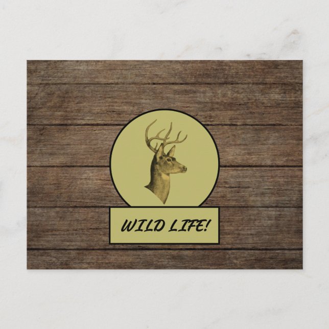 Cartão Postal Cartão-postal de madeira escura Buck Head (Frente)