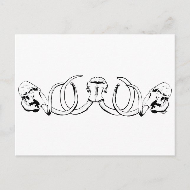 Cartão Postal Cartão-postal de Mammoth Skull (Frente)