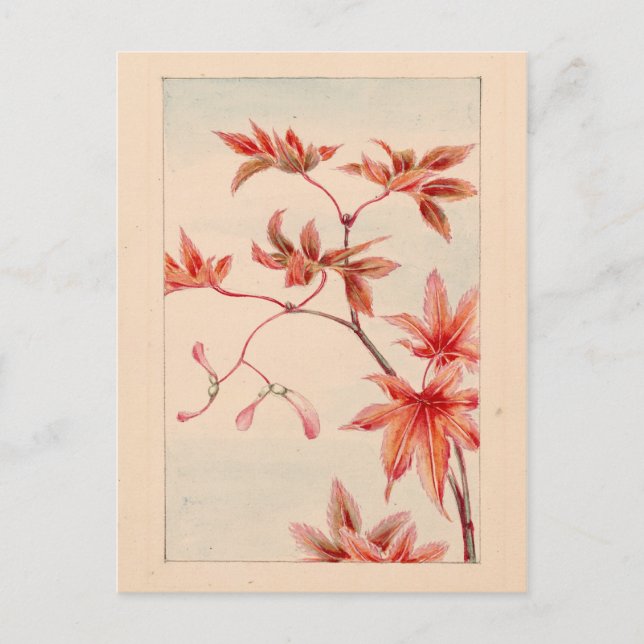 Cartão Postal Cartão-postal de mapa vermelho (Frente)