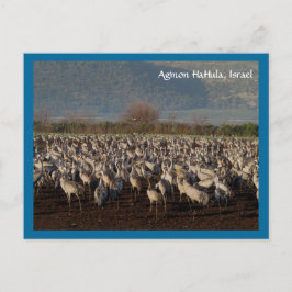 Cartão Postal Cartão-postal de Migração de Aves