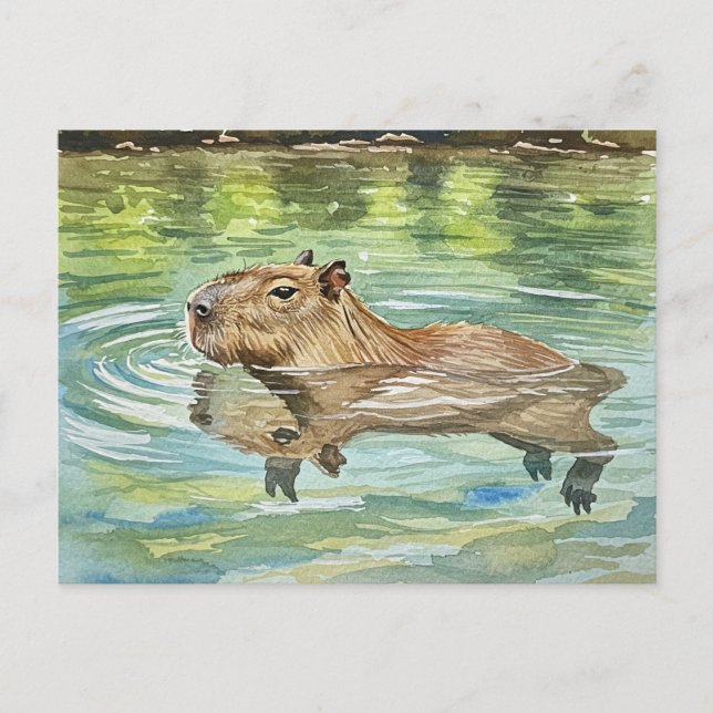 Cartão Postal Cartão-postal de natação de Cuja Capybara (Frente)