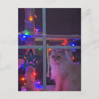 Cartão Postal Cartão-postal de Natal