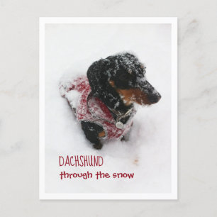 Cartão Postal Cartão-Postal De Natal - Dachshund Através Da Neve