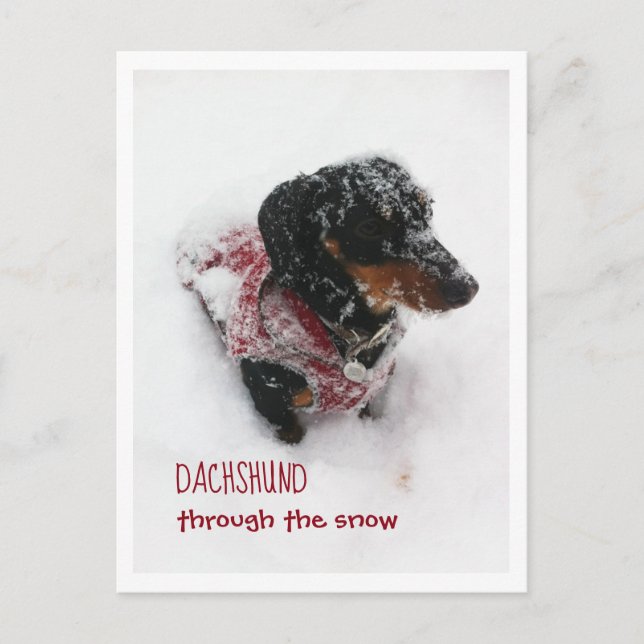 Cartão Postal Cartão-Postal De Natal - Dachshund Através Da Neve (Frente)