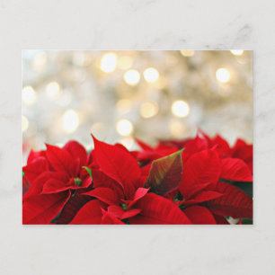 Cartão Postal Cartão-postal de Natal feliz com flores