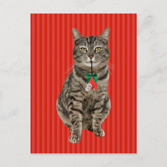 Cartão Postal Cartão-postal de Natal "Muffin Digs Christmas" (Frente)