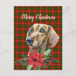 Cartão Postal Cartão-postal de Natal para Cachshund Dachshund