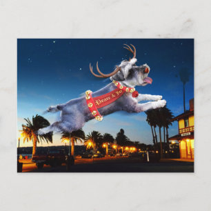 Cartão Postal Cartão-postal de Natal Schnauzer Reindeer - Benici