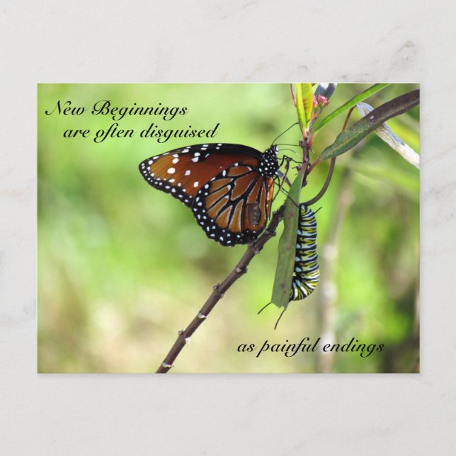 Cartão Postal Cartão-postal de Novos Começos (Frente)