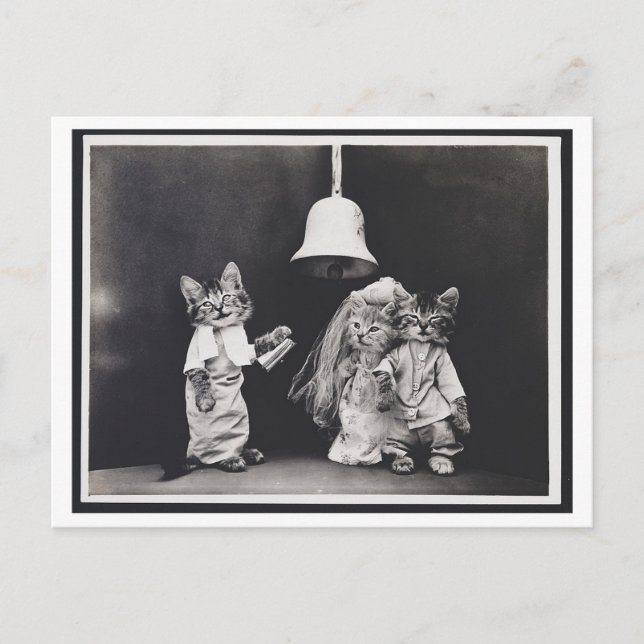 Cartão Postal Cartão-postal de Odity para Casamento de Cat (Frente)